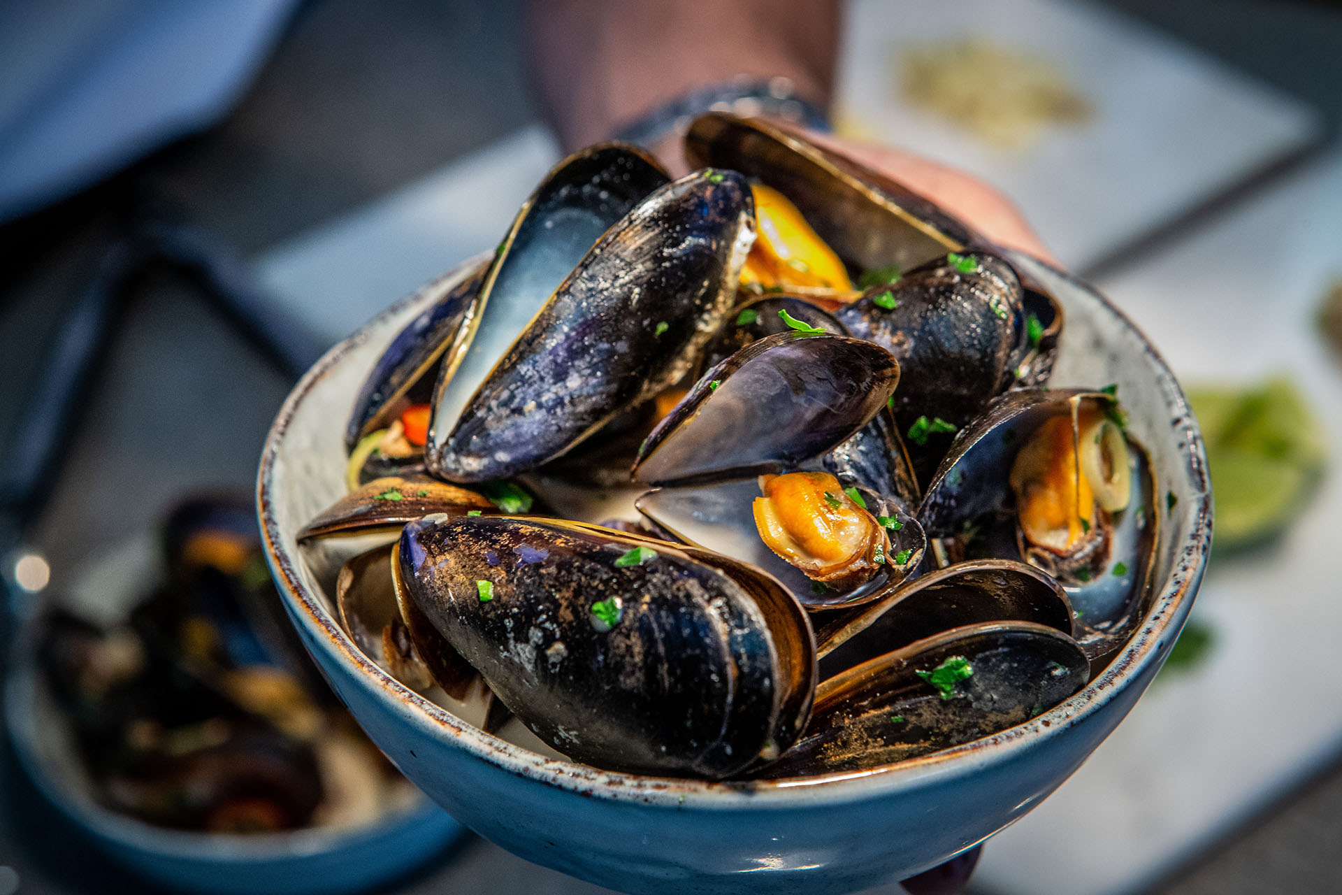 The Chef and the Guardian